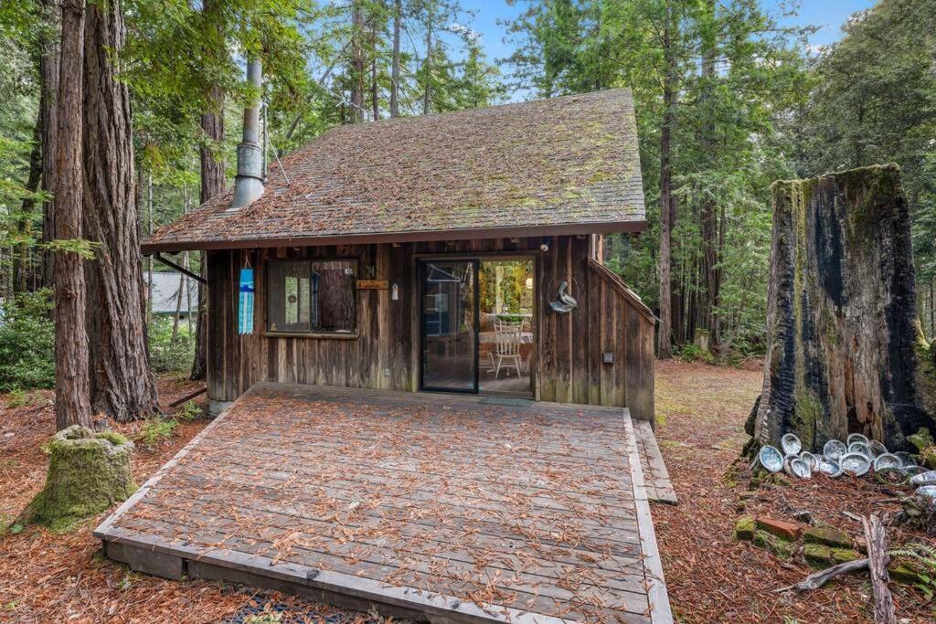 Grandma'S Cabin By The Sea Gualala Exterior foto